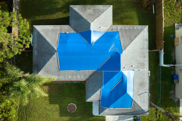 Best Roof Moss and Algae Removal  in Centerville, SC
